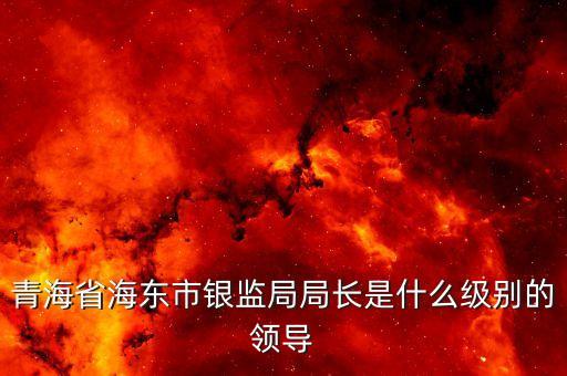保監(jiān)會(huì)主席什么級(jí)別，青海省海東市銀監(jiān)局局長是什么級(jí)別的領(lǐng)導(dǎo)