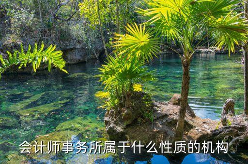 鄭商所期衍所屬于什么性質(zhì)，會計師事務所屬于什么性質(zhì)的機構(gòu)