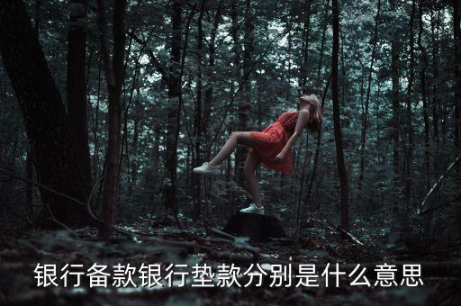 墊款是什么意思，還墊款是什么意思