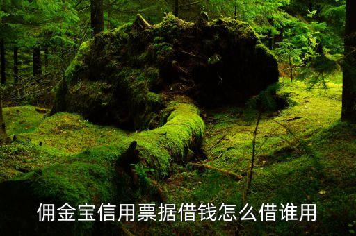 借錢(qián)打新是什么意思，舉借新債償還 是什么意思