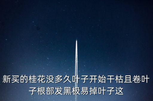 桂花樹(shù)過(guò)剩什么時(shí)候能緩解，盆栽的桂花為什么老掉葉子