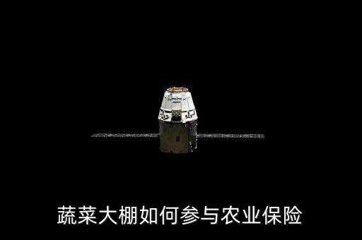 種大棚買保險陪什么，蔬菜大棚入保險請問入哪一類保險