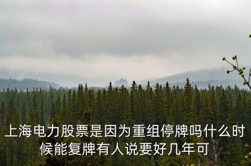 上海電氣什么時間復牌，上海電力股票是因為重組停牌嗎什么時候能復牌有人說要好幾年可