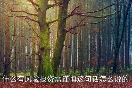 什么有風(fēng)險投資需謹(jǐn)慎這句話怎么說的