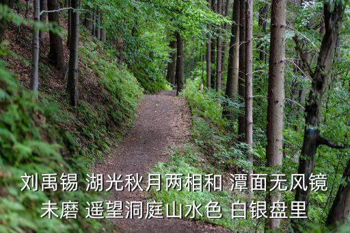 君山股份是做什么，劉禹錫 湖光秋月兩相和 潭面無風(fēng)鏡未磨 遙望洞庭山水色 白銀盤里