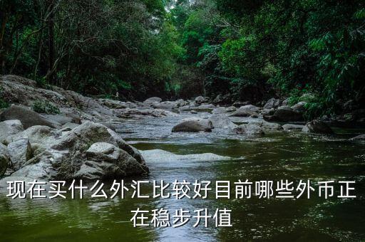 近期買(mǎi)什么外匯，預(yù)測(cè)人民幣匯率走勢(shì)是怎樣的 炒外匯現(xiàn)在買(mǎi)哪對(duì)外匯比較好