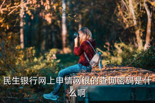 民生銀行查詢密碼是什么，民生銀行網(wǎng)上申請網(wǎng)銀的查詢密碼是什么啊