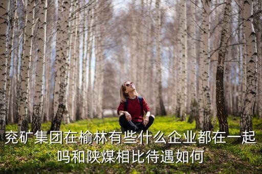 兗州煤業(yè)公司經(jīng)營什么，兗礦集團在榆林有些什么企業(yè)都在一起嗎和陜煤相比待遇如何