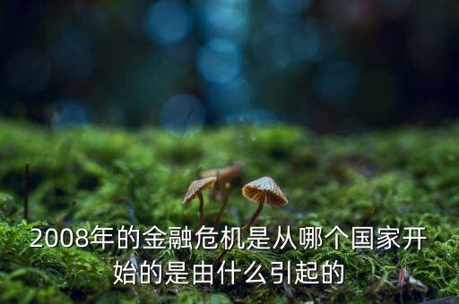 這一次的金融危機發(fā)端于什么，請問這次金融風暴的起始是什么樣的具體的原因