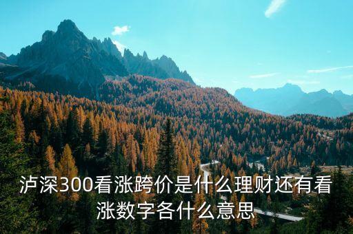 看漲跨價(jià)什么意思，理財(cái) 滬深300看漲跨價(jià)好不好