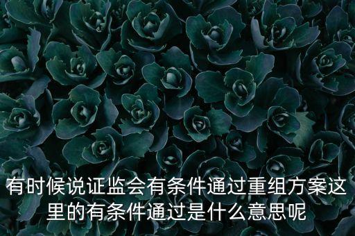 重組項目過會是什么意思，資產(chǎn)重組獲股東大會高票通過什么意思