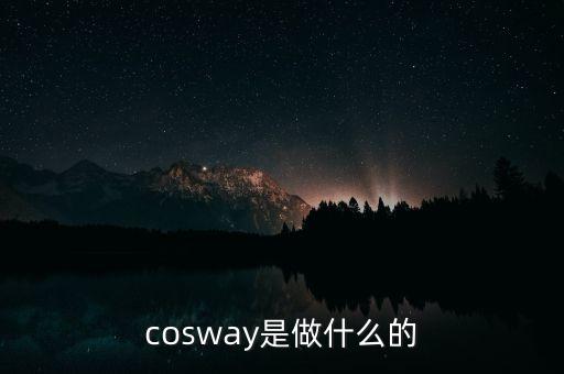 普路通是做什么的，cosway是做什么的
