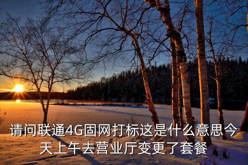 請問聯(lián)通4G固網打標這是什么意思今天上午去營業(yè)廳變更了套餐