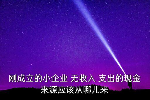 小企業(yè)主為什么沒現(xiàn)金，剛成立的小企業(yè) 無收入 支出的現(xiàn)金來源應(yīng)該從哪兒來