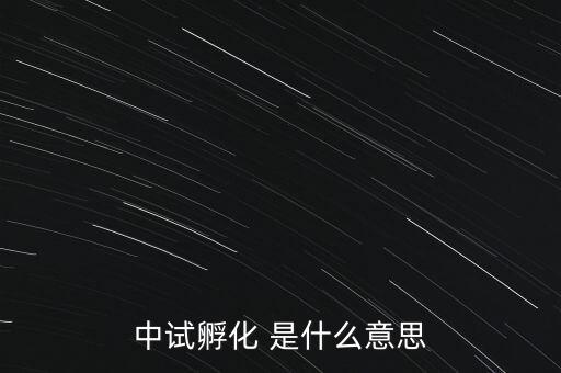 中試孵化是什么意思，中試孵化 是什么意思