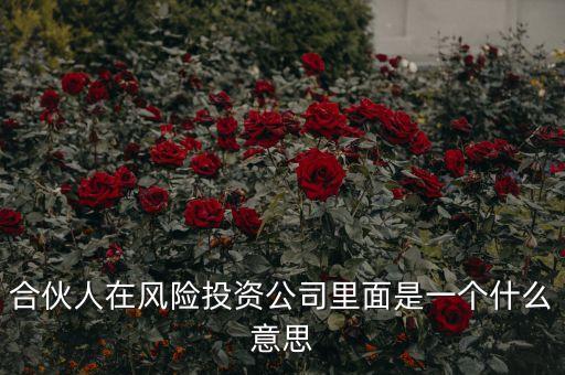 vc合伙人是什么，風(fēng)險投資公司中的合伙人和經(jīng)理人都是什么意思