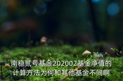 南穩(wěn)二號(hào)為什么要分紅，南穩(wěn)貳號(hào)基金202002基金凈值的計(jì)算方法為何和其他基金不同啊