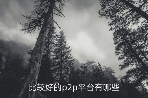什么p2p平臺比較靠譜，請問國內(nèi)P2P平臺哪家比較安全可靠點(diǎn)想了解下