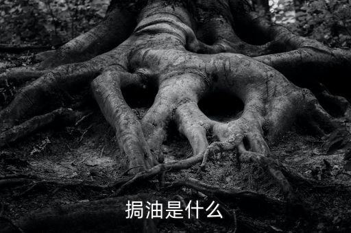 粵油是什么，輕質(zhì)油在炒原油里的什么油比如什么大連油粵油