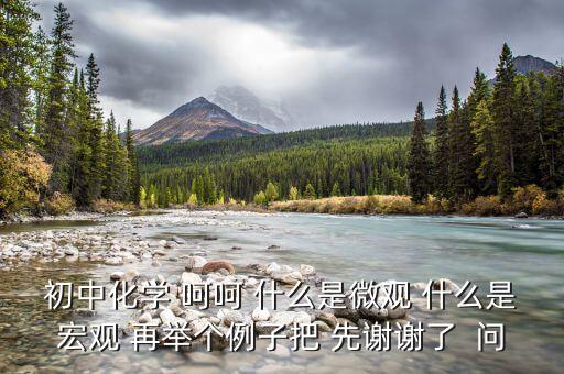 什么是宏觀事實(shí)，初中化學(xué) 呵呵 什么是微觀 什么是宏觀 再舉個(gè)例子把 先謝謝了  問