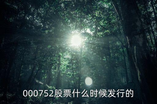 九泰銳富什么時(shí)候發(fā)行，000752股票什么時(shí)候發(fā)行的
