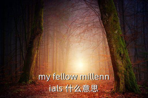 為什么叫千禧一代，my fellow millennials 什么意思