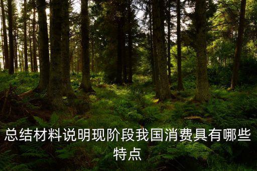 從材料的數(shù)據(jù)中反映了當(dāng)前消費(fèi)的什么特點(diǎn)，總結(jié)材料說明現(xiàn)階段我國(guó)消費(fèi)具有哪些特點(diǎn)