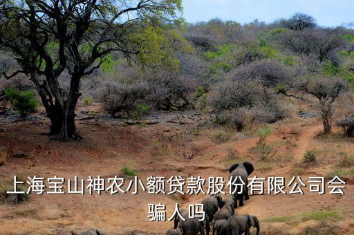 上海神農(nóng)小額貸款公司經(jīng)理叫什么，上海寶山神農(nóng)小額貸款股份有限公司會騙人嗎
