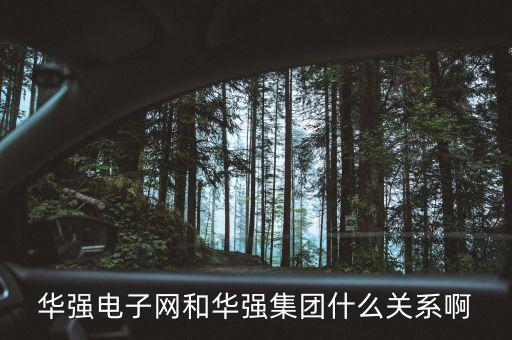 華強電子網(wǎng)和華強集團什么關系啊