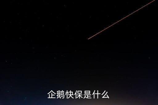 快保保險是什么公司，企鵝快保是什么