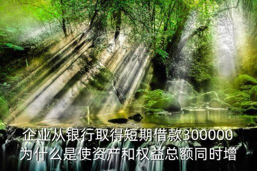 企業(yè)從銀行取得短期借款300000為什么是使資產和權益總額同時增