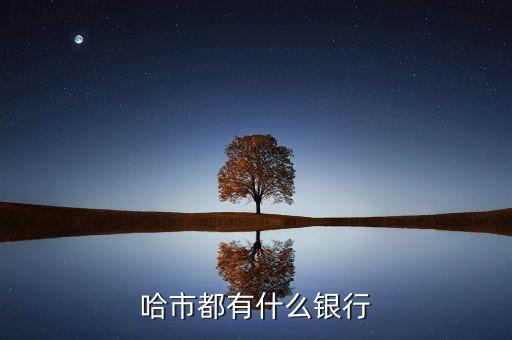 東北有什么銀行，哈爾濱有哪些銀行