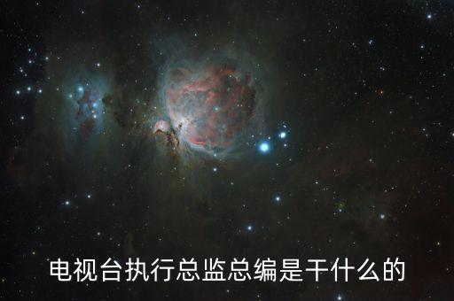 執(zhí)行總編輯負(fù)責(zé)什么，執(zhí)行總編和總編的區(qū)別