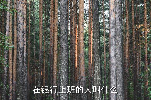 金融上班叫什么，在銀行上班的人叫什么