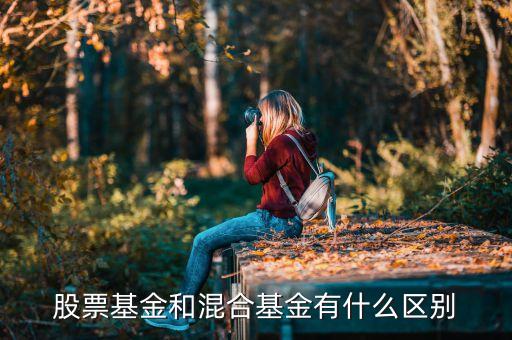 混合基金和股票基金有什么區(qū)別，混合基金和股票基金的區(qū)別在哪
