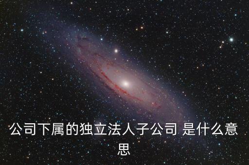 下屬子公司是什么意思，母公司集團公司是有限責任公司下屬子公司有的是有限責任公