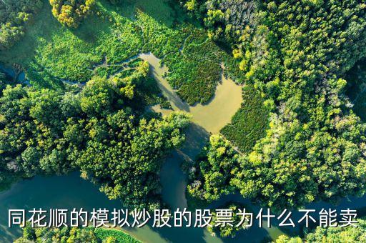 財達同花順股票為什么不能買賣，同花順的模擬炒股的股票為什么不能賣