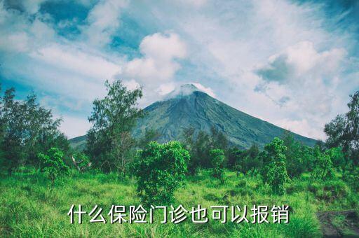 什么商業(yè)保險(xiǎn)門診都能報(bào)銷，什么險(xiǎn)種可以門診費(fèi)用報(bào)銷