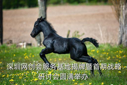  深圳網(wǎng)創(chuàng)會(huì)服務(wù)基地揭牌暨首期戰(zhàn)略研討會(huì)圓滿(mǎn)舉辦