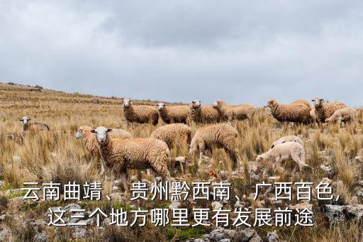 云南曲靖、 貴州黔西南、廣西百色,這三個(gè)地方哪里更有發(fā)展前途