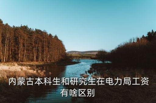 內蒙配售電公司人員分配