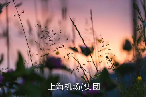  上海機場(集團(tuán)