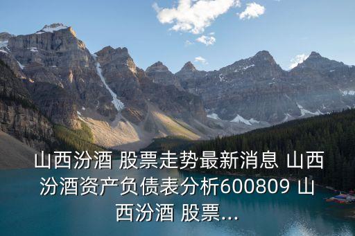 山西汾酒 股票走勢最新消息 山西汾酒資產(chǎn)負(fù)債表分析600809 山西汾酒 股票...