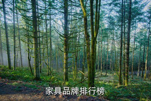 美克美家上?；春Ｂ返?上海美克美家哪個最大