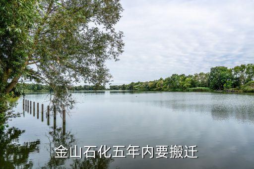 上?；瘜W(xué)工業(yè)區(qū)總體規(guī)劃,洪江市工業(yè)區(qū)總體規(guī)劃
