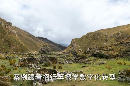 案例跟著招行年報學數(shù)字化轉型