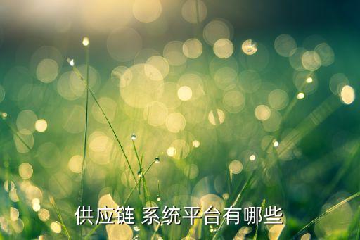 供應(yīng)鏈 系統(tǒng)平臺(tái)有哪些