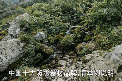 中國十大防水卷材品牌,請(qǐng)舉例說明