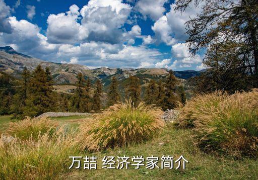 萬喆 經(jīng)濟學(xué)家簡介