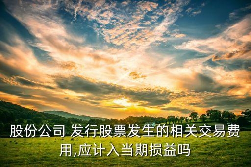 發(fā)行股票凍結期間的利息收入,公司發(fā)行股票凍結期間所產(chǎn)生的利息收入應